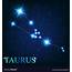 The Taurus Zodiac Sign Of Beautiful Bright Vector Image