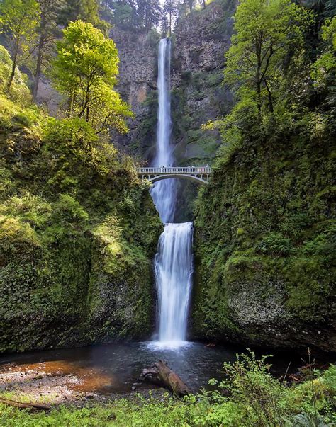 Multnomah Falls Oregon In 2020 Multnomah Falls Multnomah Falls