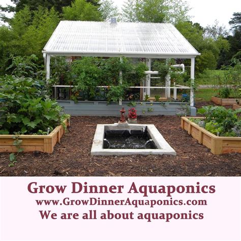 Aquaponics Greenhouse Backyard Aquaponics Aquaponics Greenhouse