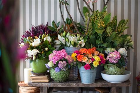 Check spelling or type a new query. Verandah House Interiors: Exploring Sydney | Indoor ...