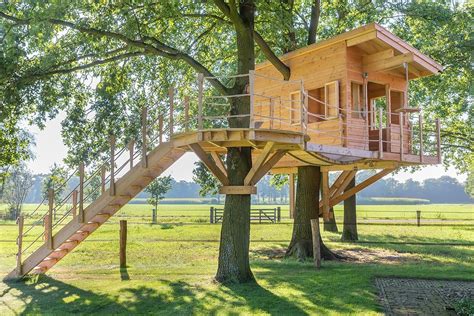 8 Tips For Building Your Own Backyard Treehouse Future Tranquility