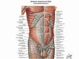 Core Muscles Ppt Pictures