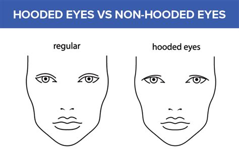 Hooded Eyes All About Vision