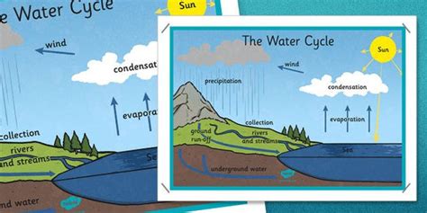 The Water Cycle Large Display Poster Water Cycle Water Importance