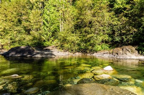 Beautiful River In Forest Nature Peaceful Canadian Background Stock