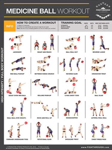 Medicine Ball Workout Strength Training Professional Instructional Wall