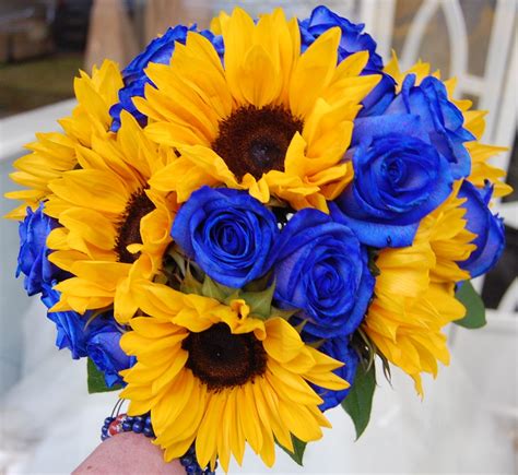 Choose your local florists in brisbane, qld as all our florists deliver flowers same day on orders received before 2pm. Dyed Dutch Blue Vendela Roses with medium size sunflowers ...