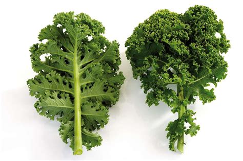 What Is Kale Eatingwell