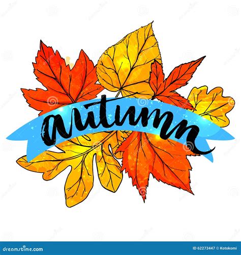 Calligraphy Word Autumn Handwritten At Orange Stock Vector