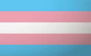 Transgender At Bu Bu Today Boston University