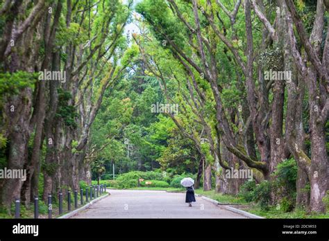 Inside The Kyoto Botanical Gardens In Japan Stock Photo Alamy