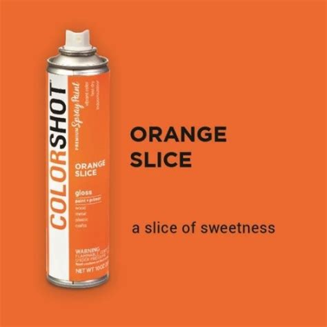 Colorshot Aerosol Spray Orange Slice Orange