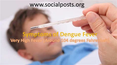 There is no specific medicine to treat dengue. Social Posts
