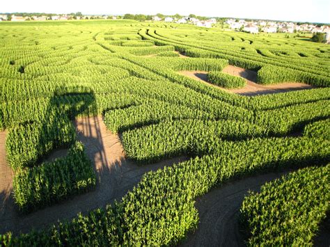 Corn mazes have been around for a long time, but have become increasingly more complex. Richardson's Farm Corn Maze | World's Largest Corn Maze at ...