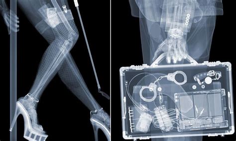 x ray artwork captures what we look like underneath our clothes x ray x ray images xray art