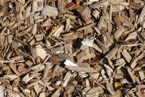 Wood Chip Bark Chippings Stock Image Image Of Backdrop 241842753