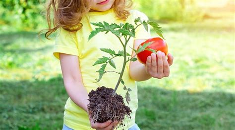 How To Plant A Child Friendly Garden Image To U