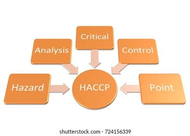 Introduction Haccp Standard Haccp Hazard Analysis Stock Illustration