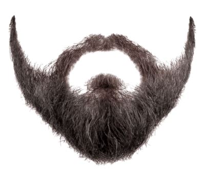 We did not find results for: Download Beard Png Image HQ PNG Image | FreePNGImg