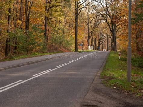 Asphalt Road Through Deciduous Autumn Forest Stock Photo Image Of