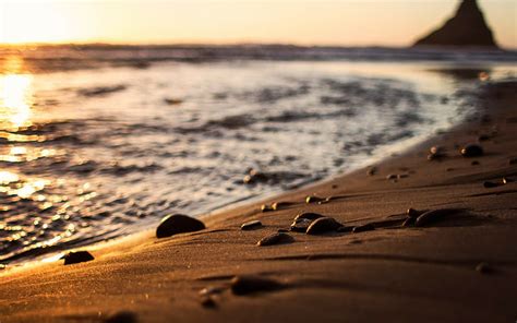 Beach Depth Of Field Pebbles Sand Sea Sunlight Hd Wallpaper