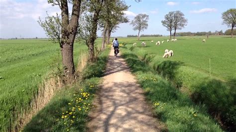 Nederland ˈneːdərlɑnt (listen)), informally holland, is a country primarily located in western europe and partly in the caribbean. Fietsen in Nederland - YouTube