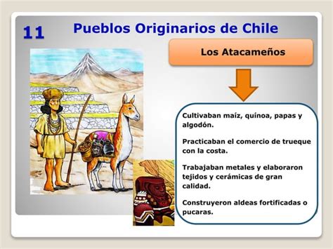 Pueblos Originarios De Chileppt