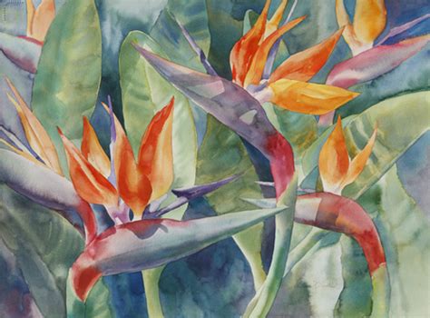 Birds Of Paradise Watercolors By Diane K Smith