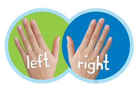Printable Left And Right Hand Web Results For Left And Right Hand