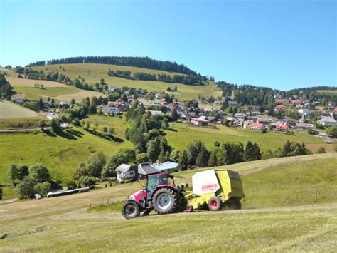 Entdecke 32 anzeigen für haus kaufen schöneck zu bestpreisen. HAUS SCHÖNECK-UNSER BAUERNHOF
