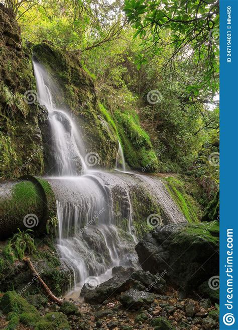 A Waterfall In The New Zealand Bush Cascading Over An Old Mossy Pipe