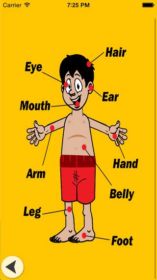 Human Body Parts - iPhone, iPad, iPod Forums at iMore.com