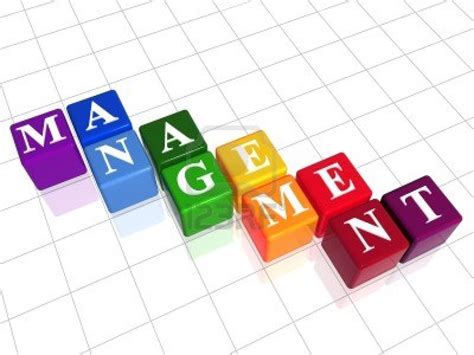 Major Overview: Management