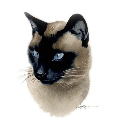 Siamese Cat Watercolor Painting Art Print By Artist Dj Rogers Etsy