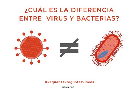 Post Cual Es La Diferencia Entre Virus Y Bacteria Esta Diferencia The