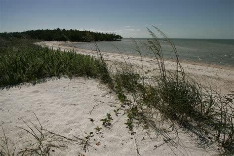 The ten thousand islands are a chain of islands and mangrove islets off the coast of southwest florida, between cape romano and the mouth of. File:Ten Thousand Islands National Wildlife Refuge - Beach ...