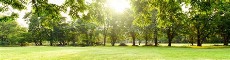 Luckily, pest control companies can help take care of these pests for you. Pest Control Columbia, MD | Atlantic Pest Control