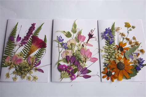 Pressed Flower Art Dried Pressed Flowers Mixed Pack For Etsy