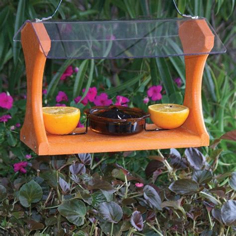 Proudly serving canada from our canadian headquarters in winnipeg. Shop WoodLink Going Green Plastic Oriole Feeder at Lowes.com