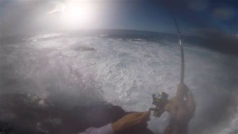 Moi Fishing Fishing In Hawaii Using A Flie Youtube