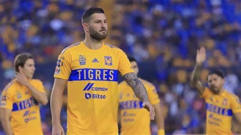 Tigres buscará reforzar 4 posiciones del cuadro de cara al Clausura 2023