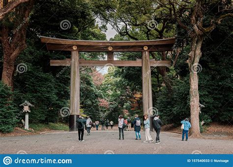 Wooden Torii Gate Of Meiji Jingu Shrine Under Big Tree In Tokyo