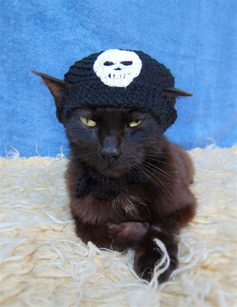 Skull Hat For Cat Pirate Hats For Cats Halloween Pet Costume