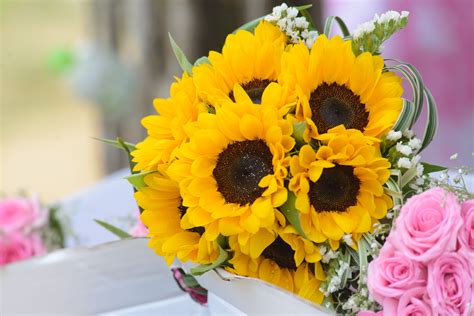 图片素材 婚礼花 美丽的花 订婚 婚姻 新娘 快乐 玫瑰 红 蓝色 花的手 爱 花花束 黄色 花安排 向日葵