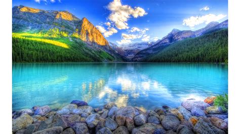 Bing Wallpaper Daily Wallpaper From Bing For Android Apk Download
