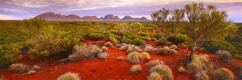 Wilderness Desert Dreaming Panoramic Photography Australian
