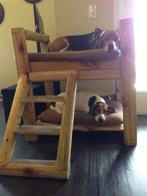 Bed,3d paper craft,3d bunk bed craft,doll bed diy. How to build a bunk bed for your pets | DIY projects for ...