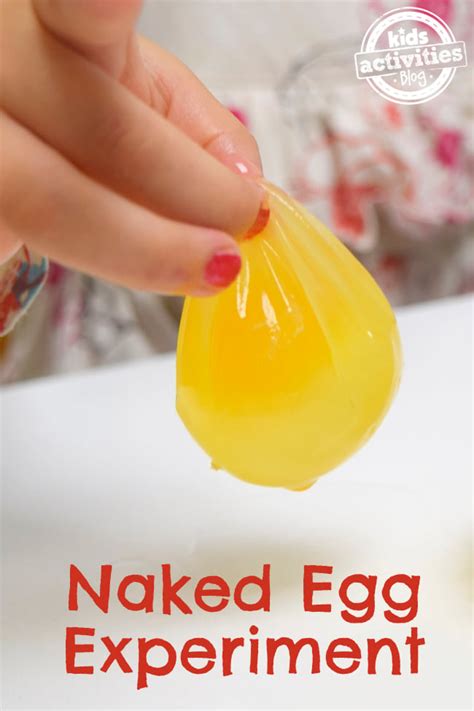 Extra Gross Naked Egg Experiment