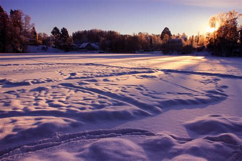 Fotos Gratis Paisaje Naturaleza Bosque Nieve Invierno Nube