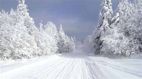 Tis The Season 11 Outdoor Activities For A Wonderful Winter In